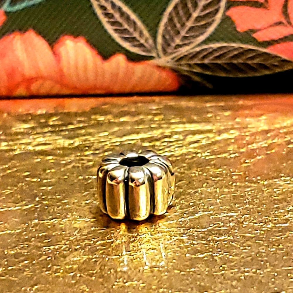 Pandora Ribbed Clip